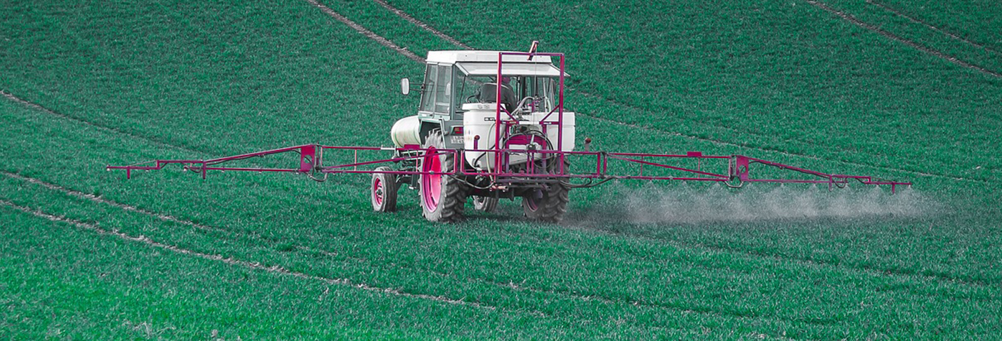 Les pesticides, comment les reconnaitre et les éviter ?