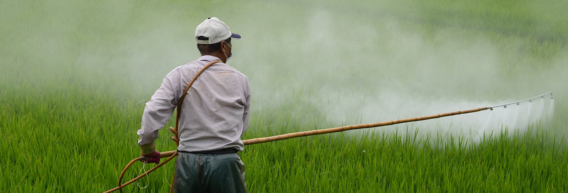 UN PESTICIDE, C’EST QUOI ?